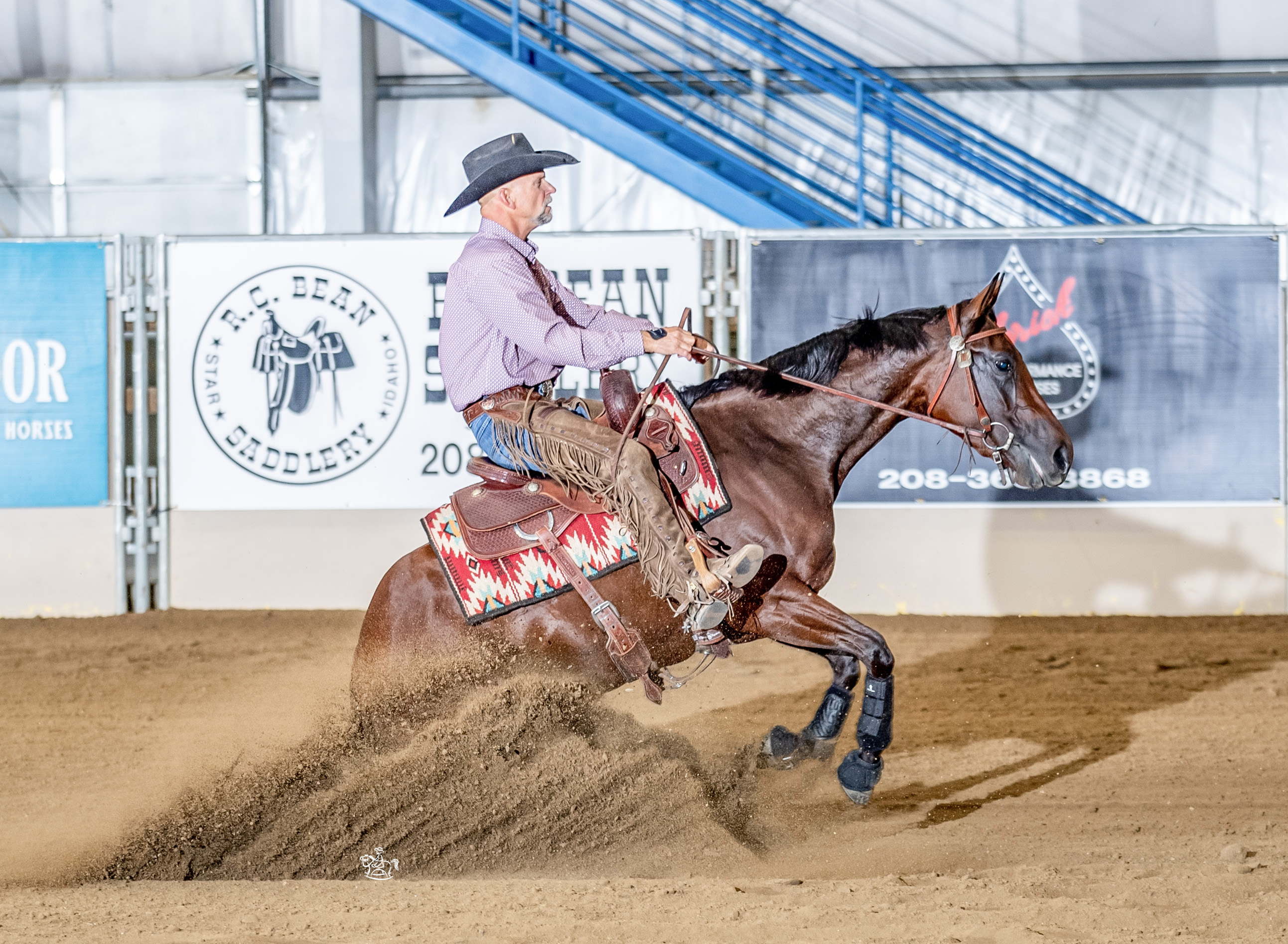 Owned by Hoggan Performance Horses; Shown by Mike E. Miller